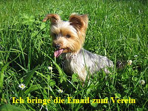 Mail an den Vorstand