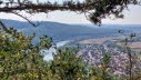 Ausblick zum Main